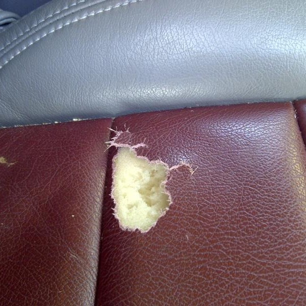 how to fix a tear in leather car seat