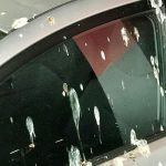 how to clean bird poop off car