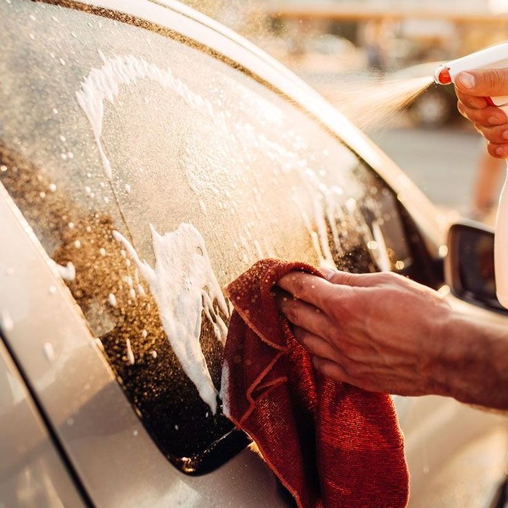 how to clean bird poop off car