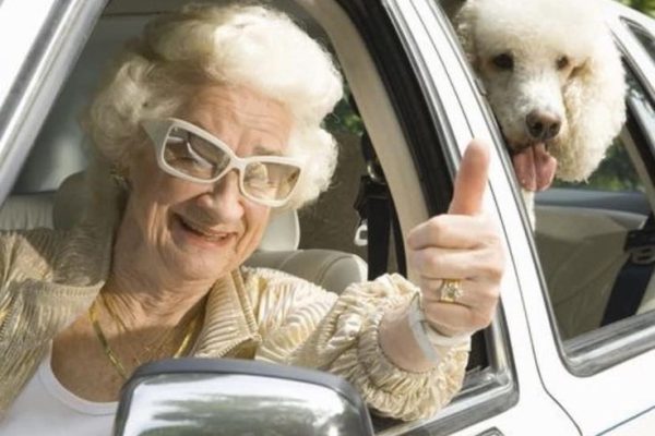senior car insurance