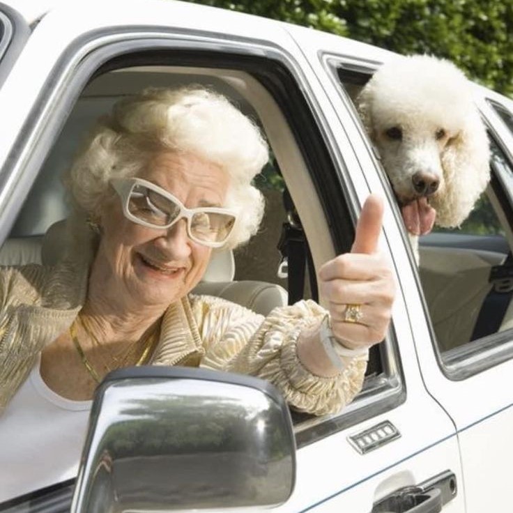 senior car insurance