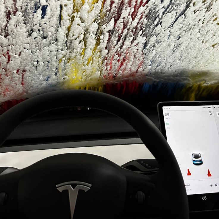 tesla car wash mode