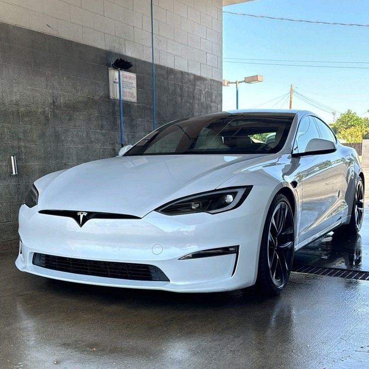 tesla car wash mode