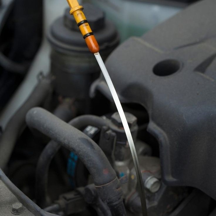 how much oil does my car need
