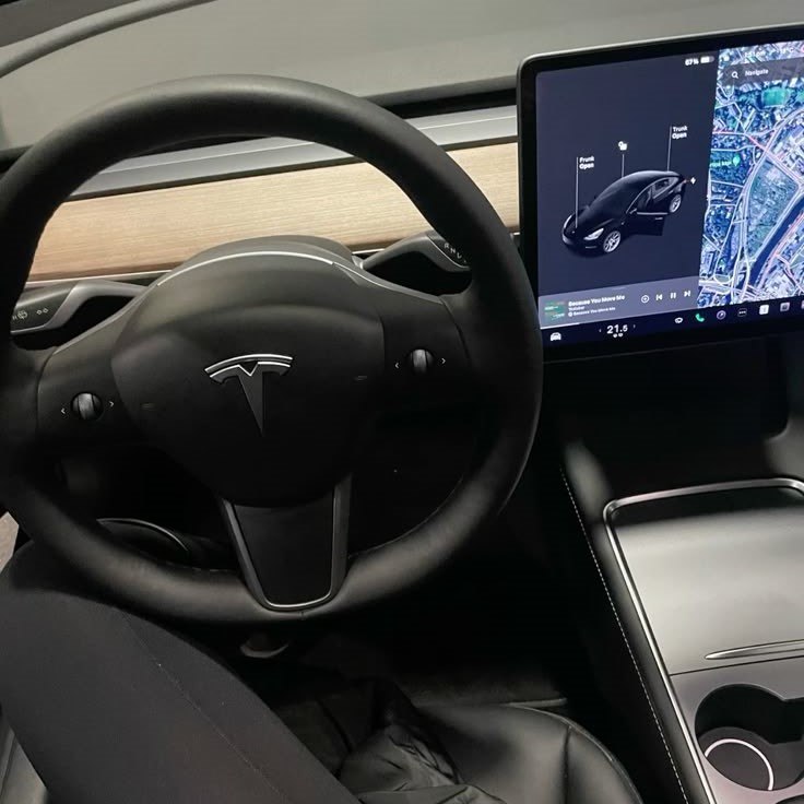 tesla car wash mode