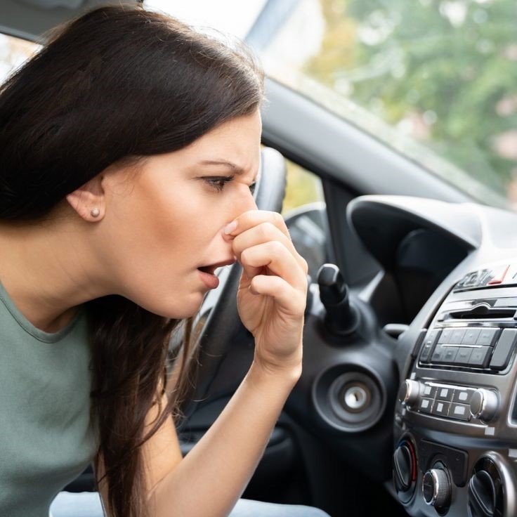 how to clean vomit from car