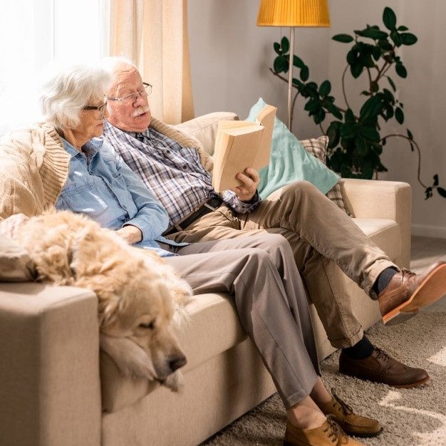 senior car insurance