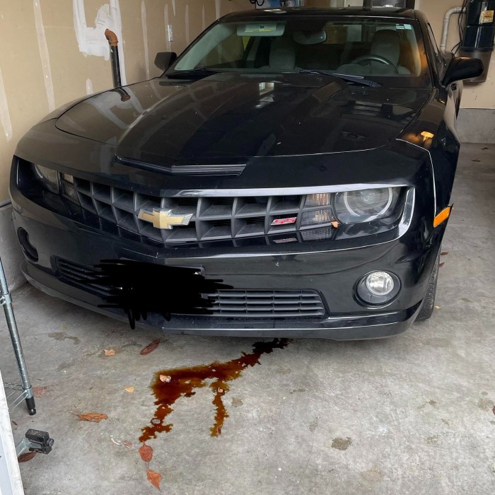 car leaking oil when parked