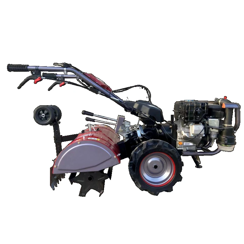 rotary small engine